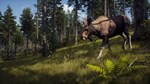 Way of the Hunter КЛЮЧ* STEAM РФ+СНГ