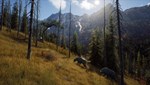 Way of the Hunter - Elite Edition КЛЮЧ* STEAM РФ+СНГ