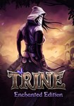 Trine Enchanted Edition КЛЮЧ* STEAM РФ+СНГ