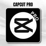 *CAPCUT PRO*1 год*Полная ГАРАНТИЯ* работа в России