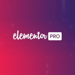 *Elementor Pro -1 год Оригинальная лицензия на плагин *