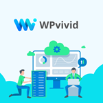 1 год * - WPvivid Backup & Image Pro *** - Оригиналь