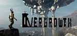 Overgrowth*NO RU/NO KZ***Steam Key***Автовыдача*****