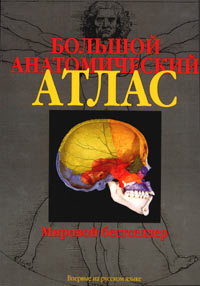 Большой атлас по анатомии Ройен, Йокочи, Дерекол