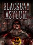 Blackbay Asylum (steam key / region free)