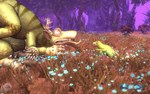 SPORE (Steam Gift Россия UA KZ)