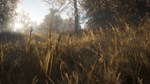 theHunter: Call of the Wild Steam Gift Россия UA KZ BY