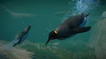 Planet Zoo: Aquatic Pack (Steam Gift Россия) *