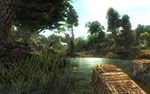 Risen (Steam Gift Россия) *