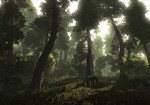 Risen (Steam Gift Россия) *