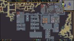 Dwarf Fortress (Steam Gift Россия) *