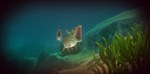 Feed and Grow: Fish (Steam Gift Россия) *