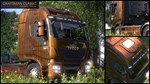 Euro Truck Simulator 2 - Flip Paint Designs (Steam RU)