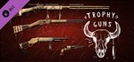 This Land Is My Land - Trophy Guns DLC (Steam Gift RU)