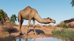 Planet Zoo: Arid Animal Pack (Steam Gift Россия)