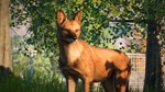 Planet Zoo: Southeast Asia Animal Pack (Steam Gift RU)