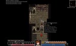 Dungeons of Dredmor (Steam Gift Россия)