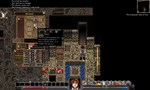 Dungeons of Dredmor (Steam Gift Россия)