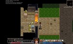 Dungeons of Dredmor (Steam Gift Россия)