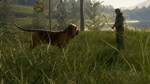 theHunter: Call of the Wild - Bloodhound Steam Gift RU