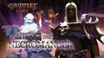 Gauntlet - Necromancer (Steam Gift Россия)