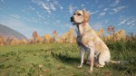 theHunter: Call of the Wild - Labrador Retriever Steam