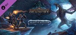 Pillars of Eternity II - Beast of Winter Steam Gift RU