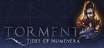 Torment: Tides of Numenera (Steam Gift Россия)