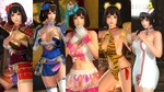 DOA5LR Character: Naotora Ii (Steam Gift Россия)