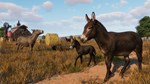 Planet Zoo: Barnyard Animal Pack (Steam Gift Россия)