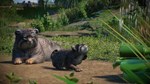 Planet Zoo: Zookeepers Animal Pack (Steam Gift Россия)