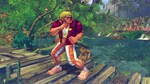 Super Street Fighter IV: Summer Shoryuken Pack Steam RU