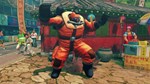 Super Street Fighter IV: Summer Brawler Pack Steam Gift