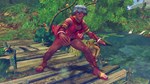 Super Street Fighter IV: Summer 2014 Challengers Pack