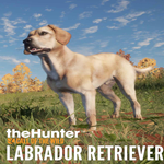 * theHunter: Call of the Wild™ - Labrador Retriever * 