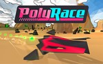 PolyRace (steam key)