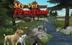 My Vet Practice (steam key)