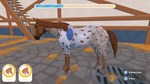 My Life Riding Stables 3 (steam key)