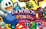 Snow Bros Special Anniversary Edition (steam key)