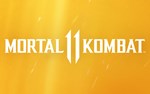 Mortal Kombat 11 (steam key)