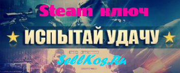 Испытай удачу Steam key [Эконом]