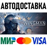 Project Wingman * RU/KZ/СНГ/TR/AR * STEAM * АВТО