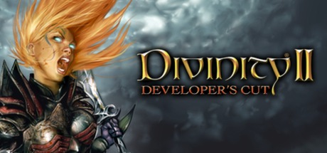 Divinity II: The Developer´s Cut  (Steam Key / ROW)