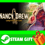 **ВСЕ СТРАНЫ** Nancy Drew: Labyrinth of Lies STEAM