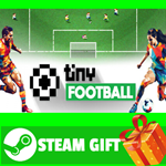 **ВСЕ СТРАНЫ+РОССИЯ** Tiny Football Steam Gift