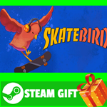 **ВСЕ СТРАНЫ+РОССИЯ** SkateBIRD Steam Gift