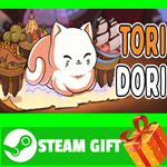 **ВСЕ СТРАНЫ+РОССИЯ** ToriDori Steam Gift