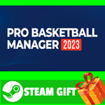 **ВСЕ СТРАНЫ+РОССИЯ** Pro Basketball Manager 2023 STEAM