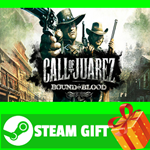 **ВСЕ СТРАНЫ** Call of Juarez: Bound in Blood STEAM