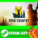 **ВСЕ СТРАНЫ+РОССИЯ** Open Country Steam Gift